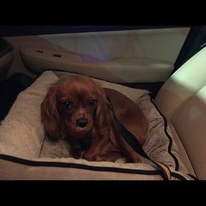 Meet your Posher, Jean